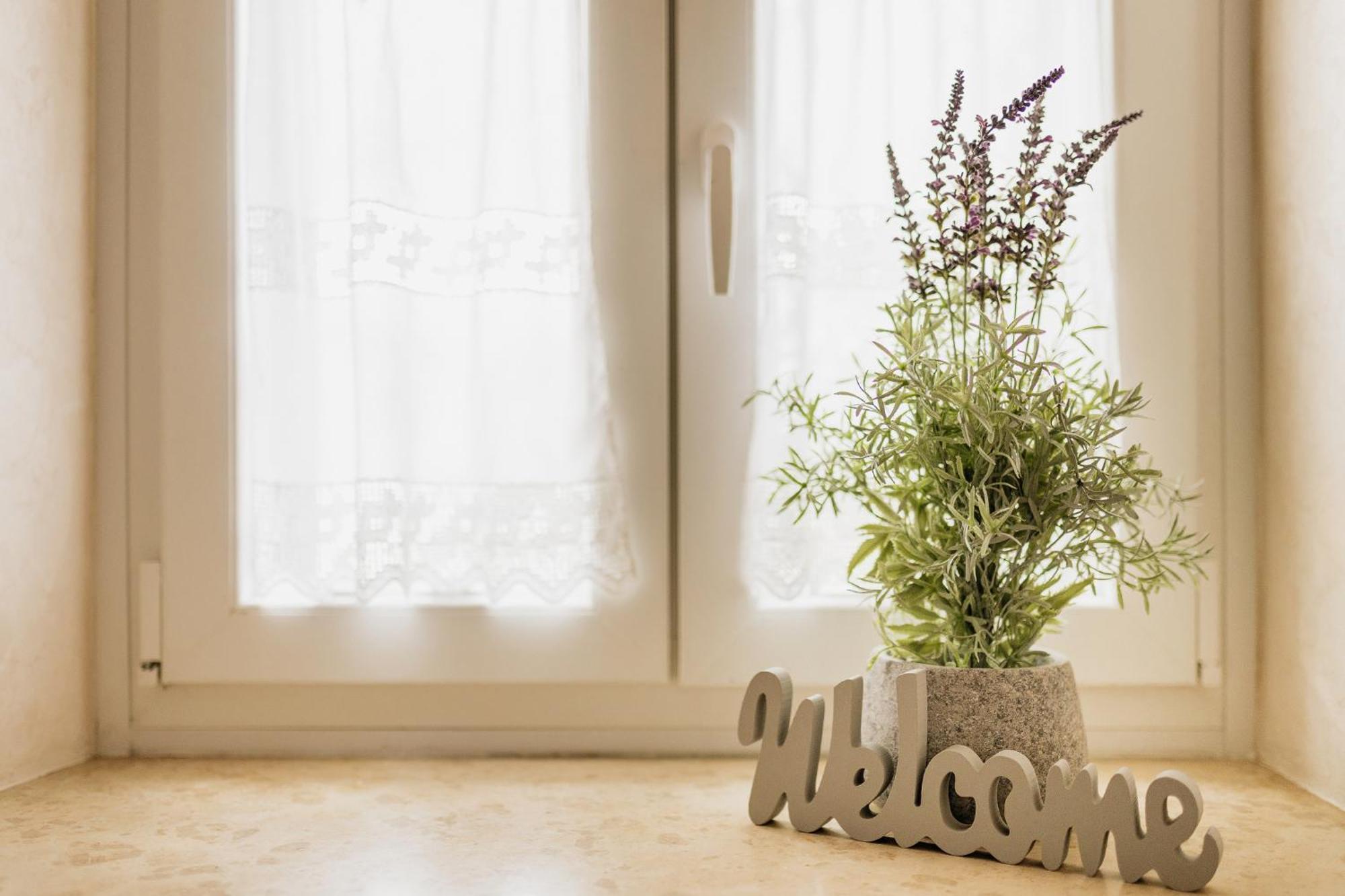 Apartments Mirna Stress Free Babici Esterno foto